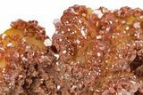 Sparkling, Ruby Red Vanadinite Crystals on Barite - Morocco #223654-3